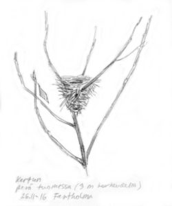 kertun-pesa